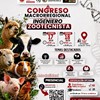 Eventos