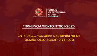Pronunciamientos