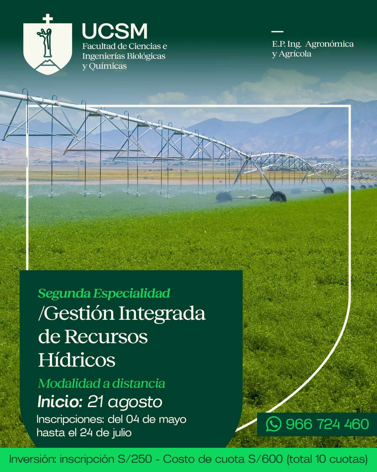 Cursos IEPI